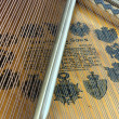 1918 Steinway Model M baby grand piano and artist bench - Grand Pianos
